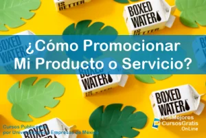 1143-IMAGEN-Los Mejores Cursos Gratis OnLine Cómo Promocionar Eficientemente Mi Producto o Servicio-01