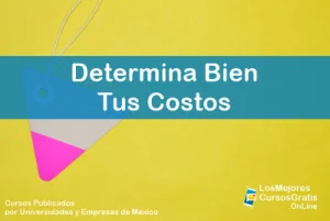 1143-IMAGEN-Los Mejores Cursos Gratis OnLine Determina Bien Tus Costos -01
