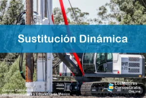 1143-IMAGEN-Los Mejores Cursos Gratis OnLine Sustitución Dinámica -01