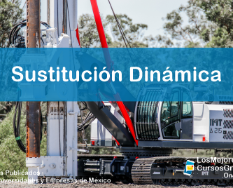 1143-IMAGEN-Los Mejores Cursos Gratis OnLine Sustitución Dinámica -01