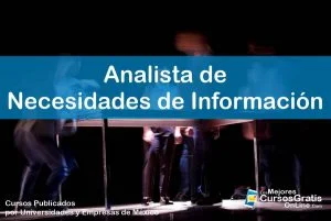1143-IMAGEN-Los Mejores Cursos Gratis OnLine Analista de Necesidades de Información - 03