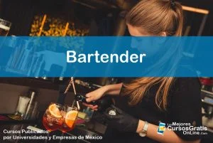 1143-IMAGEN-Los Mejores Cursos Gratis OnLine Bartender - 04