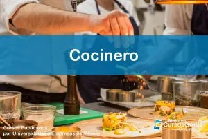 1143-IMAGEN-Los Mejores Cursos Gratis OnLine Cocinero - 03