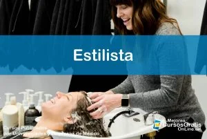 1143-IMAGEN-Los Mejores Cursos Gratis OnLine Estilista - 04