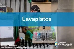 1143-IMAGEN-Los Mejores Cursos Gratis OnLine Lavaplatos - 04
