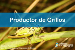 1143-IMAGEN-Los Mejores Cursos Gratis OnLine Productor de Grillos - 03