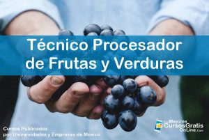1143-IMAGEN-Los Mejores Cursos Gratis OnLine Técnico Procesador de Frutas y Verduras - 03