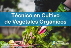 1143-IMAGEN-Los Mejores Cursos Gratis OnLine Técnico en Cultivo de Vegetales Orgánicos - 03
