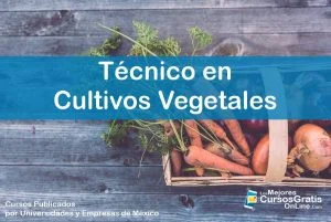 1143-IMAGEN-Los Mejores Cursos Gratis OnLine Técnico en Cultivos Vegetales - 03