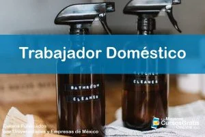1143-IMAGEN-Los Mejores Cursos Gratis OnLine Trabajador Doméstico - 04
