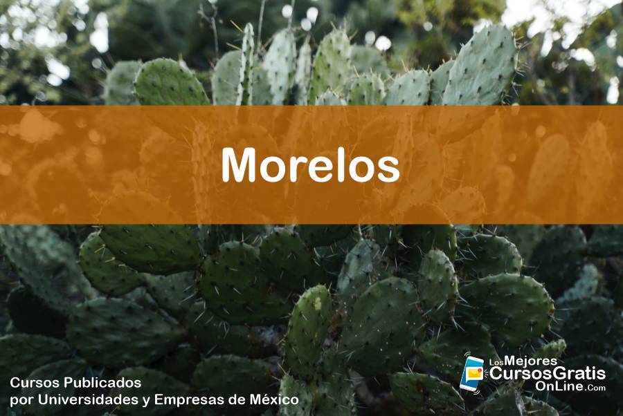 Cursos Gratis OnLine en Morelos 18 1143-IMAGEN-Los Mejores Cursos Gratis OnLine Realizados y Publicados por Universidades y Empresas de México Morelos - 08