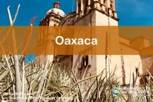 1143-IMAGEN-Los Mejores Cursos Gratis OnLine Realizados y Publicados por Universidades y Empresas de México Oaxaca - 08