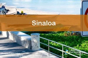 1143-IMAGEN-Los Mejores Cursos Gratis OnLine Realizados y Publicados por Universidades y Empresas de México Sinaloa - 08