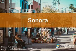 Cursos Gratis OnLine en Sonora 31 1143-IMAGEN-Los Mejores Cursos Gratis OnLine Realizados y Publicados por Universidades y Empresas de México Sonora - 08