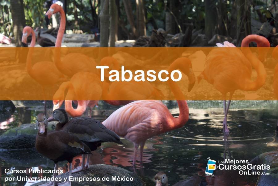 Cursos Gratis OnLine en Tabasco 15 1143-IMAGEN-Los Mejores Cursos Gratis OnLine Realizados y Publicados por Universidades y Empresas de México Tabasco - 08