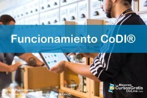 1143-IMAGEN-Los Mejores Cursos Gratis OnLine Funcionamiento CoDI® - 07