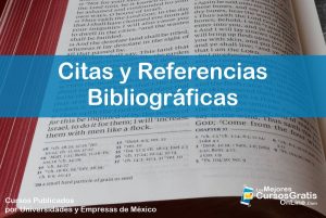 1143-IMAGEN-Los Mejores Cursos Gratis OnLine Citas y Referencias Bibliográficas - 08