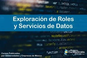 1143-IMAGEN-Los Mejores Cursos Gratis OnLine Exploración de Roles y Servicios de Datos - 08