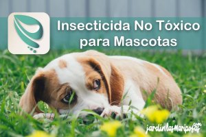 JARDINLASMARIPOSAS - Imagen - Insecticida No Tóxico para Mascotas su Cuidado en el Uso de Pesticidas en el Jardín y el Hogar - 01