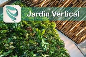 JARDINLASMARIPOSAS Imagen Jardin Vertical o Muro Verde y Pared de Cultivo 01