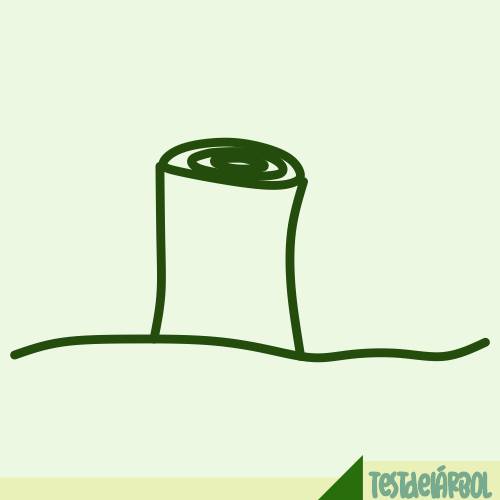 El Significado de los Tipos Especiales de Árbol en el Test del Árbol 21 IMAGEN TestDelArbol - Árbol Talado - 02
