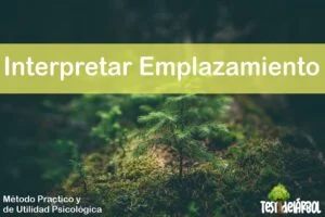 IMAGEN TestDelArbol - El Significado de los Emplazamientos o ubicación del Dibujo en la Hoja de la Prueba en el Test del Árbol - 03