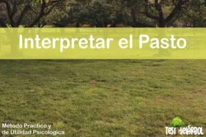IMAGEN TestDelArbol - El Significado del Pasto en el Test del Árbol - 03