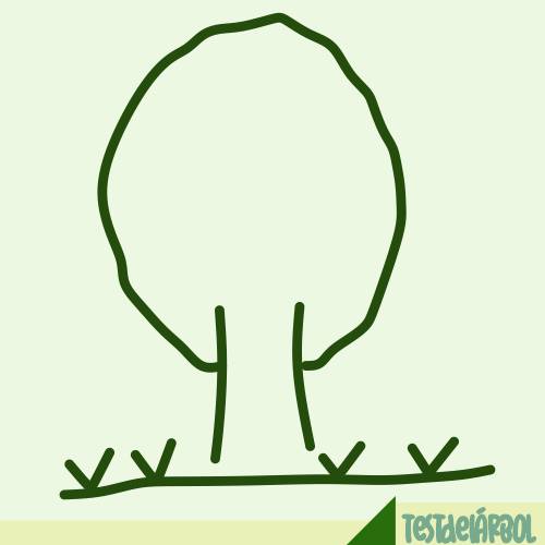 IMAGEN TestDelArbol - Pasto en Forma de Ángulos - 02