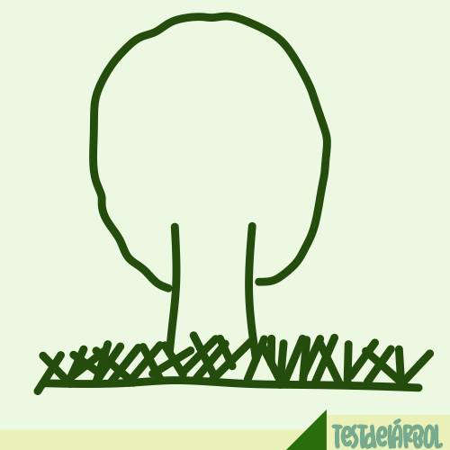 IMAGEN TestDelArbol Com - Pastos Desordenados Entrecruzados - 02