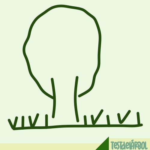 IMAGEN TestDelArbol Com - Pastos Mezclados - 02