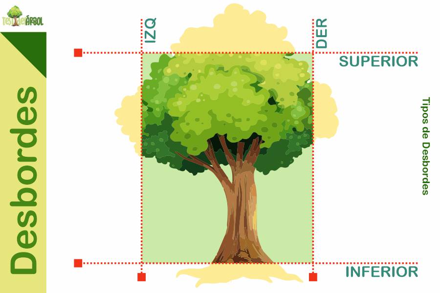 El Significado de los Desbordes en el Test del Árbol 20 IMAGEN TestDelArbol - Cuáles Son los Tipos de Desbordes en el Test del Árbol - 02-01
