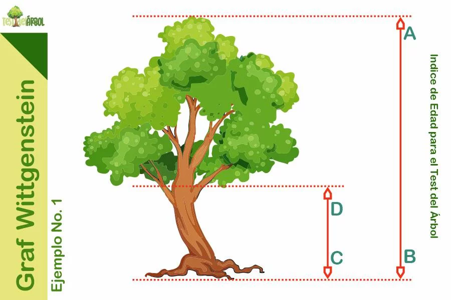 IMAGEN TestDelArbol - Graf Wittgenstein y el Índice de Edad para el Test del Árbol - 02-01