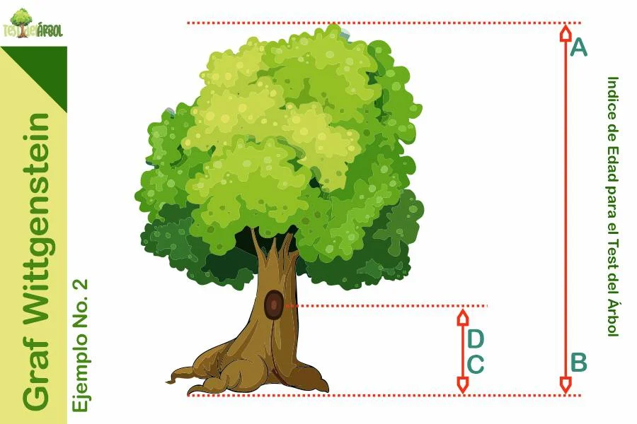IMAGEN TestDelArbol - Graf Wittgenstein y el Índice de Edad para el Test del Árbol - 03-01