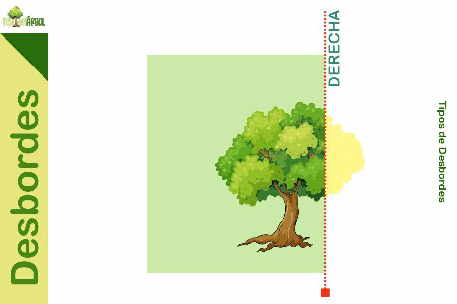 El Significado de los Desbordes en el Test del Árbol 23 IMAGEN TestDelArbol - La Interpretación del Desborde Derecho en el Test del Árbol - 02-01
