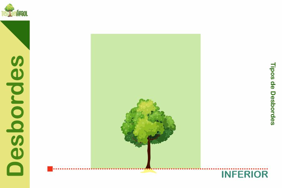 El Significado de los Desbordes en el Test del Árbol 22 IMAGEN TestDelArbol - La Interpretación del Desborde Inferior en el Test del Árbol - 02-01