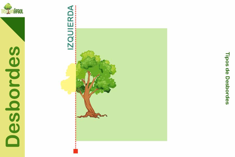 El Significado de los Desbordes en el Test del Árbol 24 IMAGEN TestDelArbol - La Interpretación del Desborde Izquierdo en el Test del Árbol - 02-01