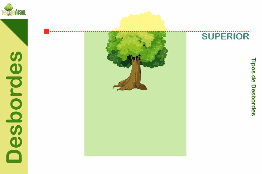 El Significado de los Desbordes en el Test del Árbol 21 IMAGEN TestDelArbol - La Interpretación del Desborde Superior en el Test del Árbol - 02-01