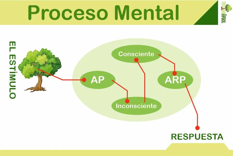 IMAGEN TestDelArbol - Desarrollo del Proceso Mental para Entender el Test del Árbol - 02
