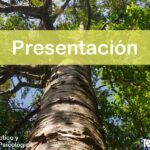 IMAGEN TestDelArbol - La Presentación del Test del Árbol - 02