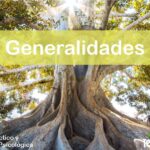 IMAGEN TestDelArbol - Términos y Generalidades del Test del Árbol - 03